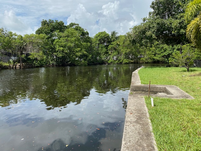 Concrete seawall with shallow dark water and sludge accumulation