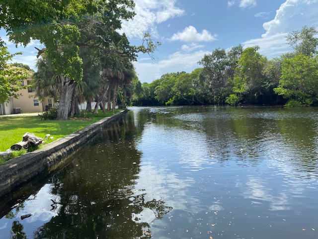 Residential river bend showing surface scum and organic runoff