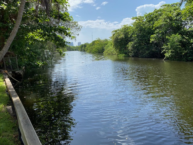 Open green river corridor view looking east along Sweeting Estates shorelines